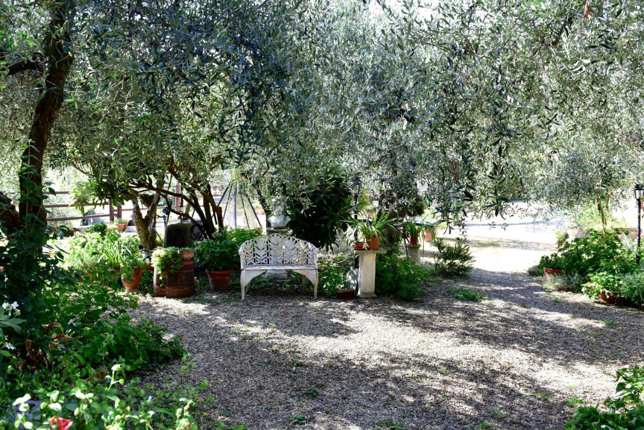 Locanda Dei Boi Hotel Ventimiglia Exterior photo